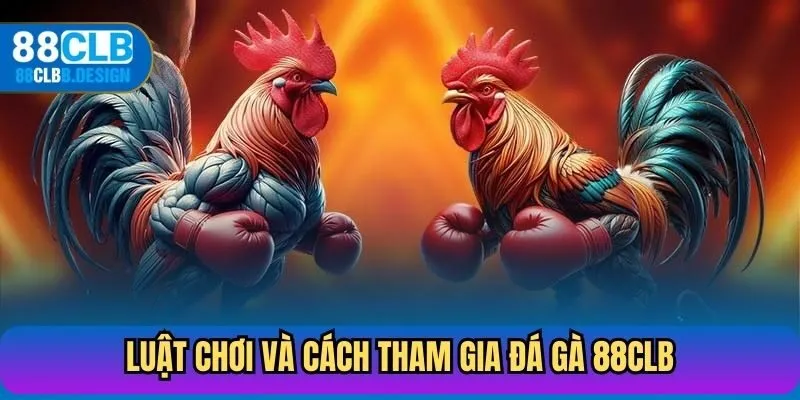 Luật chơi và cách tham gia đá gà 88CLB